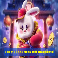 acompanhantes em guanambi